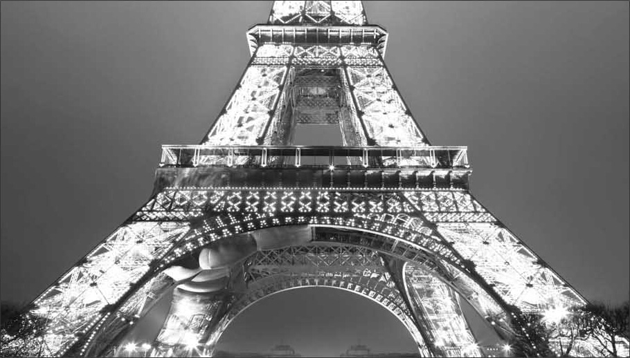Eiffel Tower 5