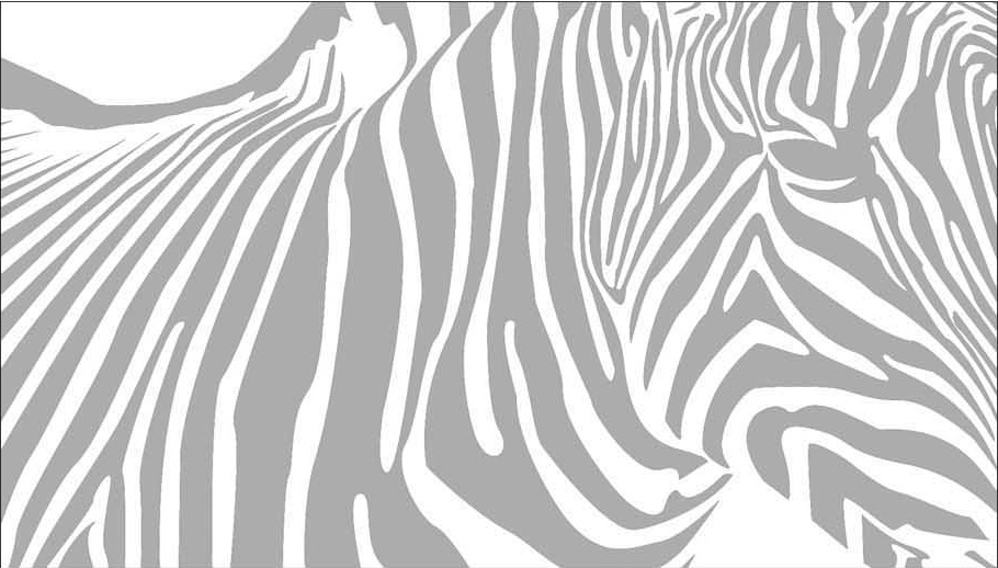 Zebra 6