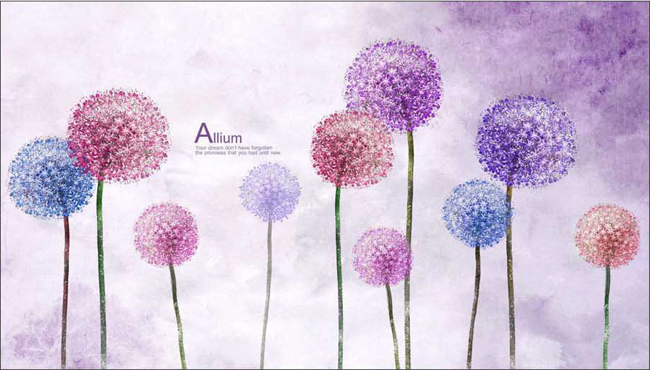 Allium 